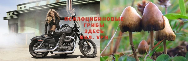 MDMA Premium VHQ Ростов